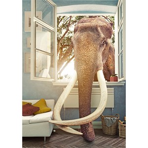 Elephant Opens The Window Garden Flag Double Sided House Decor