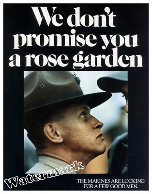 Wall Art / Photo US Marines / USMC We Don't Promise You a Rose Garden
