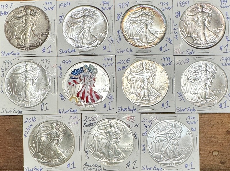 Lot of 11 American Silver Eagle .999 Silver Dollar Coins 1987-2022 W Colorized +