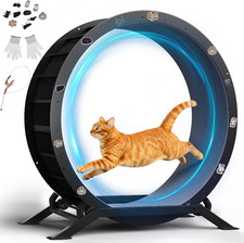 40" Cat Exercise Wheel Indoor Cat Treadmill Ultra-Quiet Running Wheel w/ Carpet