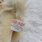 Bild 5 von 7