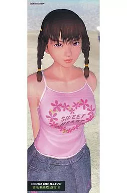 Accessory Character Rayfan Pop-Up Stand Dead Or Alive Ultimate Famitsu Xbox 2004