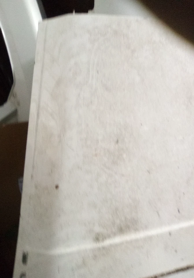 Capucha blanca para Buick Electra DG 1969 Foto 2 de 4