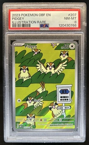 2023 Pokemon SV Obsidian Flames Pidgey Illustration Rare #207/197 PSA 8