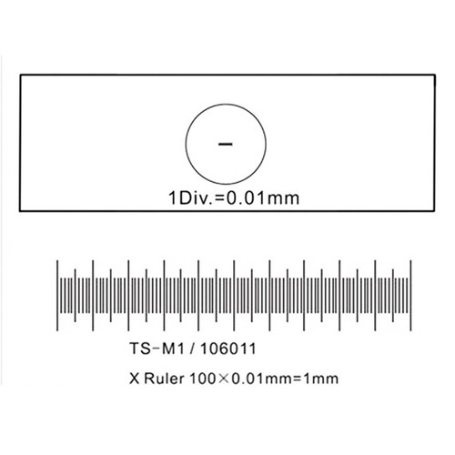 Cámara digital microscopio AmScope 5MP USB3.0 video en tiempo real + kit de calibración - Imagen 2 de 5