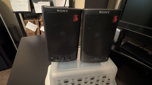 Sony SRS-48 Powered Speakers Active Stereo Desktop Battery Powered - TESTED - Video 1 of 1
