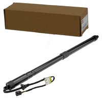 NTY Elektrischer Heckklappen Lifter Links Passend FüR Ford Grand | AE-FR-063