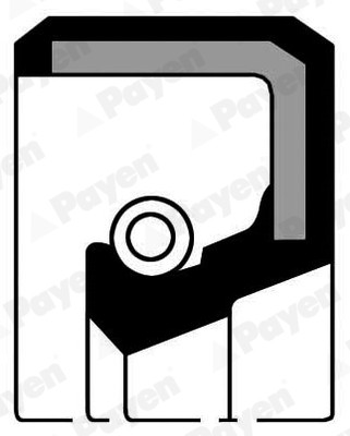 PAYEN NA584 Shaft Seal, crankshaft for AUSTIN,AUSTIN-HEALEY,INNOCENTI,MG,MORRIS,