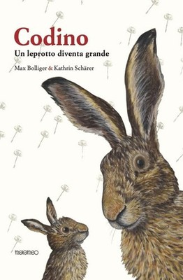Kathrin Schärer Max Bolliger  Codino. Un leprott (Gebundene Ausgabe) (US IMPORT)