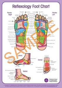 How To Do Reflexology Foot Chart