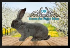 Fu&szlig;matte Schmutzfangmatte Kaninchen Deutscher Riese blau F895