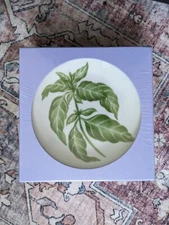 SET 6 NEW Philippe DeshoulIeres Cocktail Plates La Aromatiques 6"