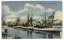 Postcard Shrimp Fleet at Tampa Florida