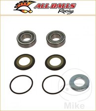 Kit cuscinetti paletta Beta REV3 250 2004-2008 TUTTE LE SFERE