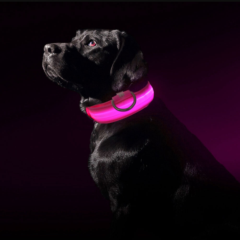 LED Dog Collar Glowing LED Dog Collar Dog USB Rechargeable Collar (Pink
