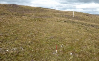 Photo 6x4 Borgie Bridge multiple stone row Borgie/NC6759 View from above c2016
