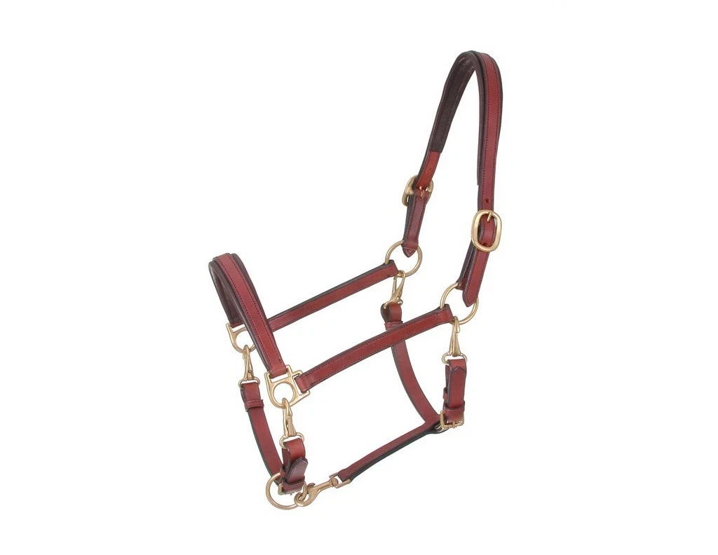 Licol économique Tough 1 Pour Cheval - Nylon Bleu Royal - Taille Cheval Entier - 50-1701
