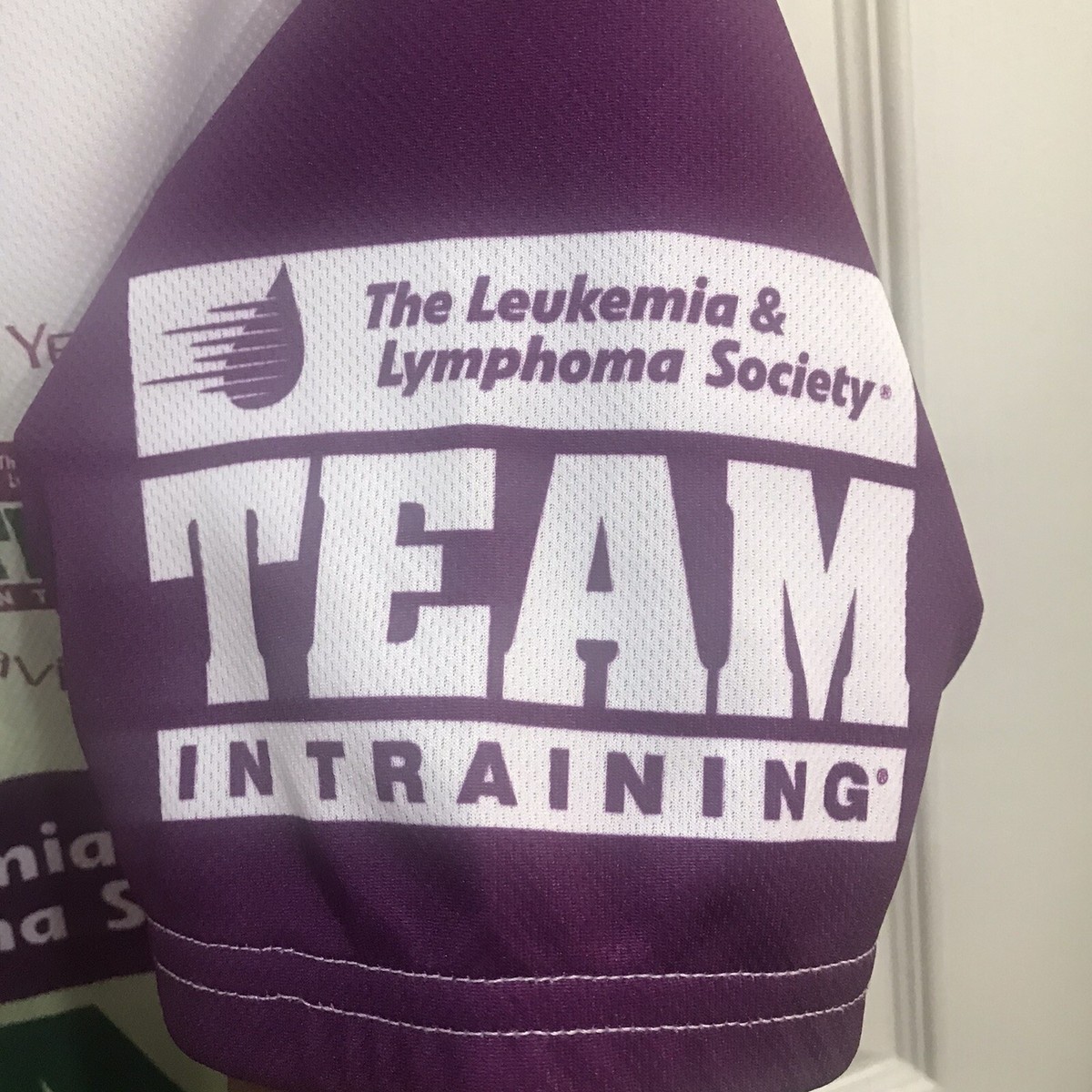 Team In Training Team In Training Logo