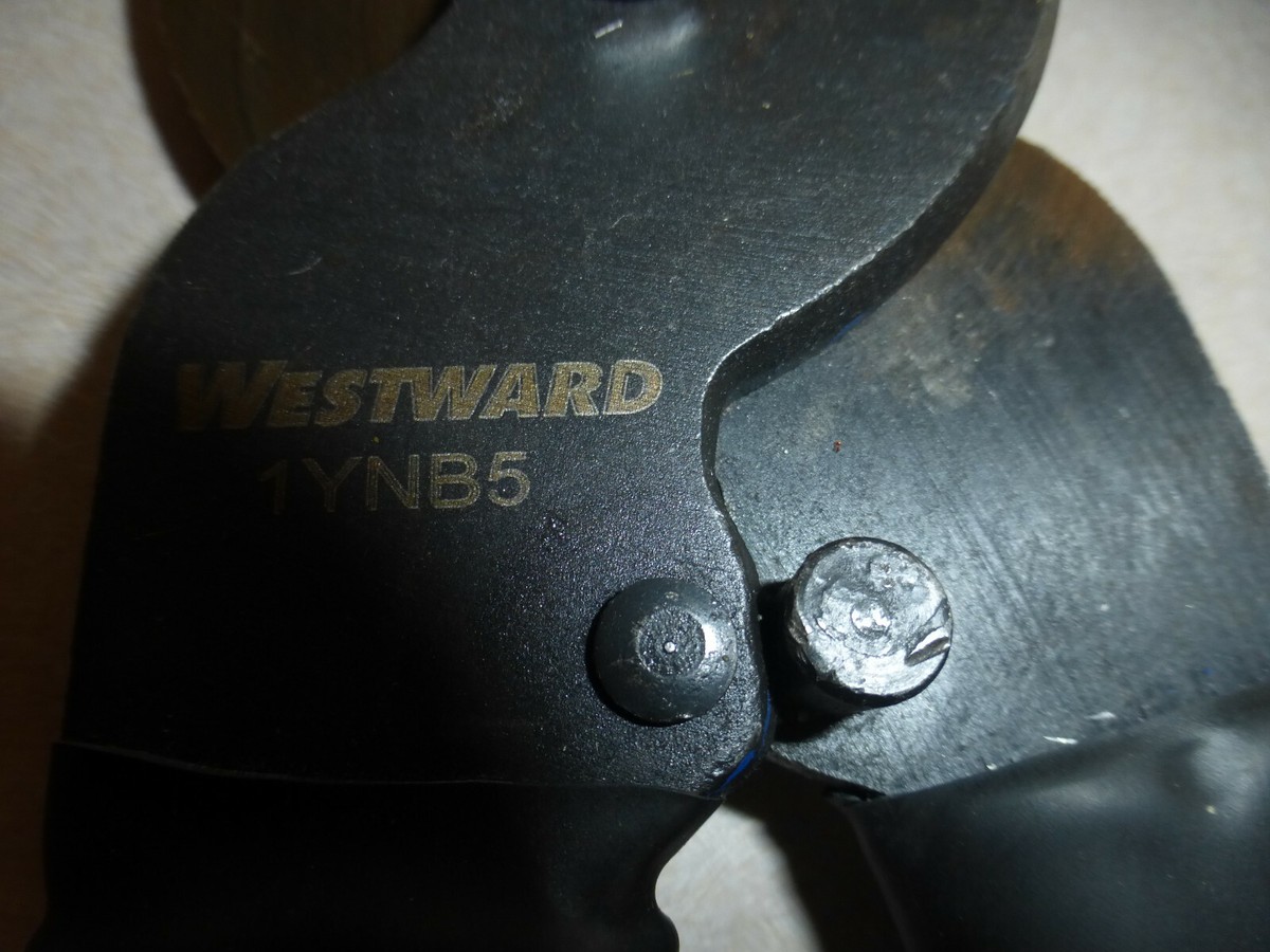 Taglio Bambino Vicino Porto San Pancrazio, Verona - Foto 9