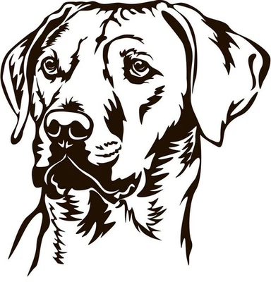 RHODESIAN RIDGEBACK Aufkleber -  Autoaufkleber - sticker - Ridgeback Kopf #36 - Bild 1 von 3