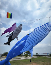 9m Whale Kite Line Laundry Pendant Soft Inflatable Kite 30D Ripstop Nylon Fabric