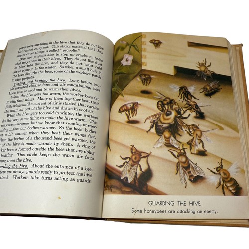Wonders to See in the World of Science, World Book, 1942 - Picture 10 of 11