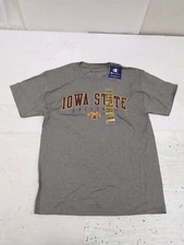 Champion Iowa State Cyclones Logo TShirt Sz Med  Grey AM6