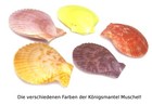 Bild 2 von 2