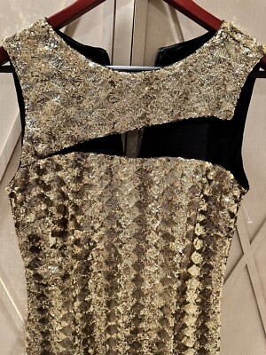 knee length dresses for ladies Emery Beaded Mesh Dress – Dress the Population main image 0