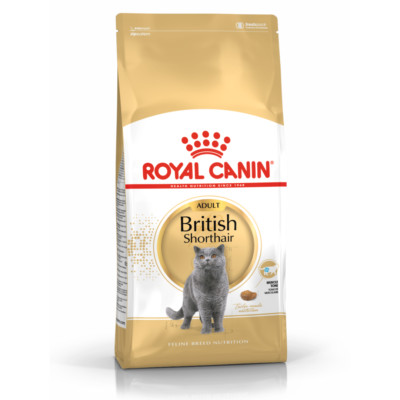ROYAL CANIN Britisch Kurzhaar 4kg Trockenfutter für Katzen Britisch Kurzhaar