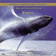 Various Artists : Humpback Whale Serenade Age 1 Disc CD DISC ONLY #G147