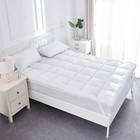 Homefiya  EXTRA DEEP 5"(12.5 cm) LUXURY Goose Feather and 15% Down Hotel Quality