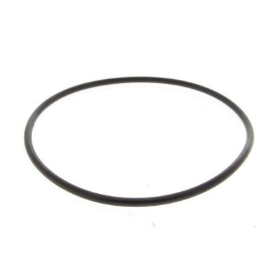 Big Blue 10 & 20 Inch Whole House Lubricated O-Ring