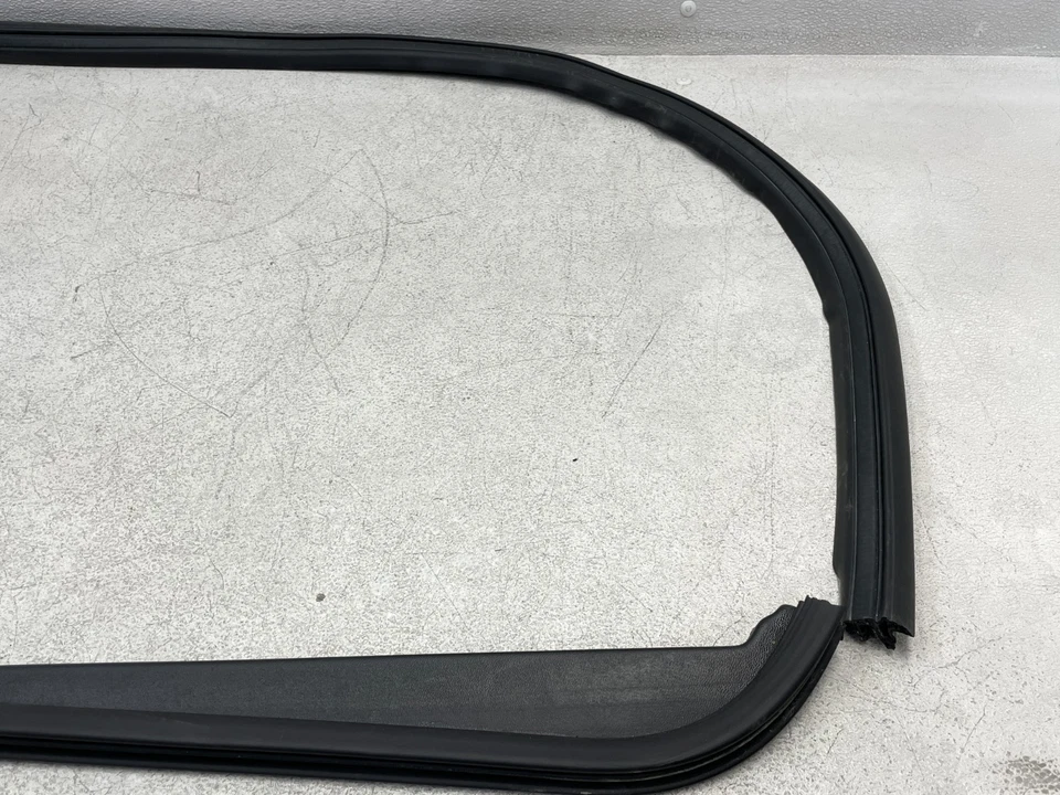 Tira de sellado de impermeabilización para puerta de paso delantera derecha Lotus Evora 2010-2014 1612 OEM Foto 2 de 4