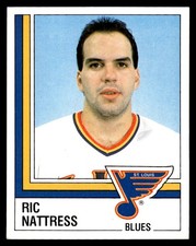 1987-88 Panini Stickers !!! Ric Nattress St. Louis Blues #307