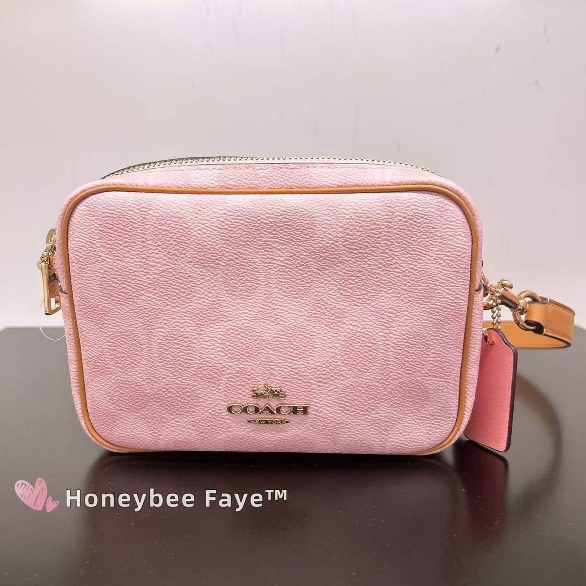 NWT Coach CEK74 Mini Carey Crossbody Bag In Signature With Charms