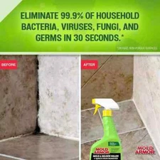 32 Oz. Mold and Mildew Killer and Quick Stain Remover