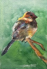 A Bird  ORIGINAL watercolor painting from the artist.