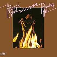 Fatback Band - Raising Hell - Vinyl Record - 59 - F72Z
