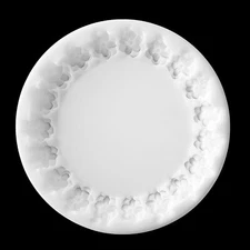 Large GARDENIA Edge Coaster Silicone Mold AU