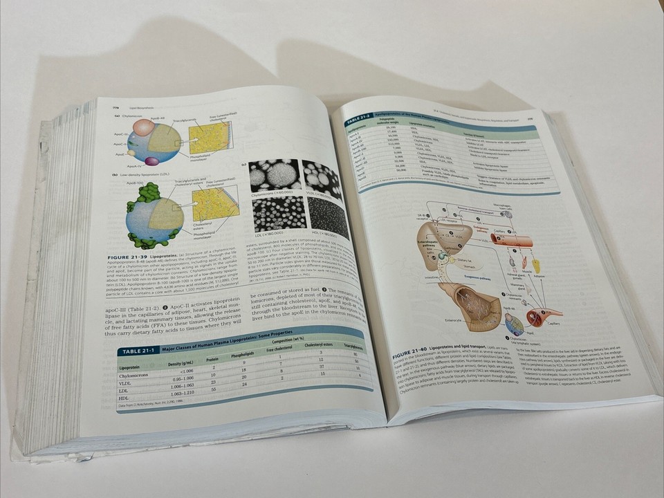 Lehninger Principles Of Biochemistry 8th Edition Book Nelson Cox HEAVY Lehninger principles of biochemistry 8th edition book nelson cox heavy
