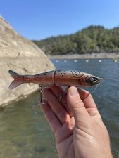 Custom Glide Bait S Waver 168 Style Color Shift  Candy Burnt Orange Chrome Trout