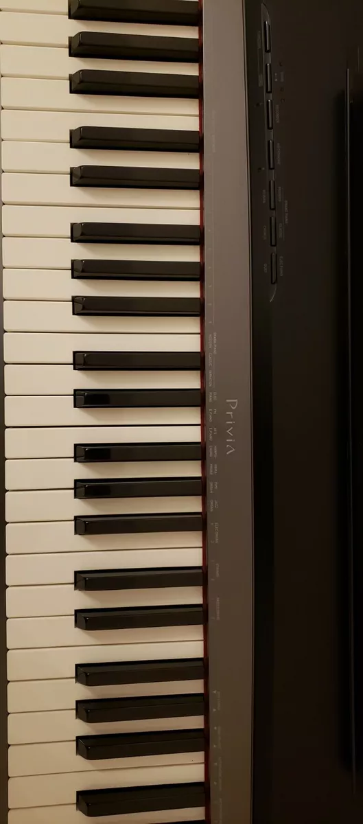 Casio Privia PX-130 88-Key Digital Piano