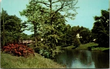 Deer Creek, Leland, Mississippi - Postcard