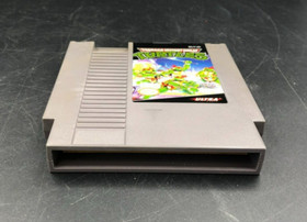 Teenage Mutant Ninja Turtles TMNT (Nintendo NES) in Box w/ Sleeve