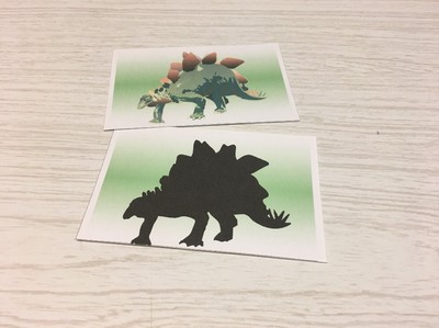 Dinosaur Shadow Matching Laminated Activity Set - Teaching Supplies
