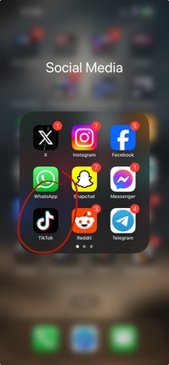 PURPLE iphone 15 pro max TIKTOK INSTALLED