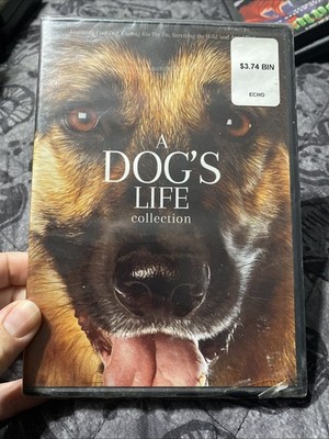 A Dogs Life Collection DVD Cool Dog Angel Dog Finding Bin Tin Ton Surviving Wild