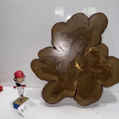 Vintage   Tree bunny Wood Slab 18.5 x18'' -Live Edge Wood