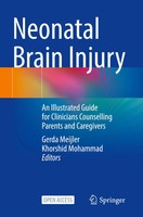 Neonatal Brain Injury Gerda Meijler (U. A.) Taschenbuch Xi Englisch 2026